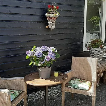 La Luna - Danny * Heerhugowaard