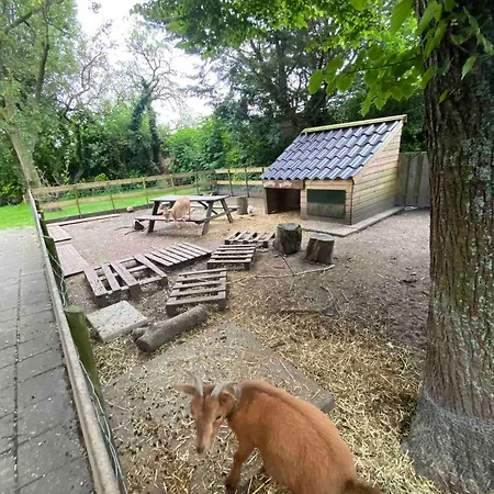 Apartmán La Luna - Danny *